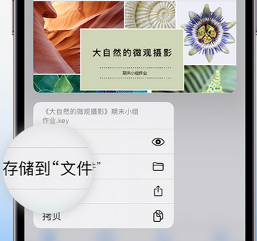 喀什apple维修中心分享iPhone文件应用中存储和找到下载文件