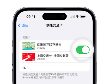 喀什apple维修点分享iPhone上更换Apple Pay快捷交通卡手绘卡面 