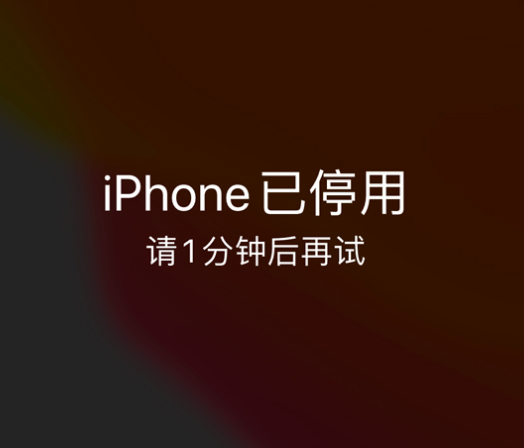 喀什苹果手机维修分享:iPhone 显示“不可用”或“已停用”怎么办？还能保留数据吗？ 