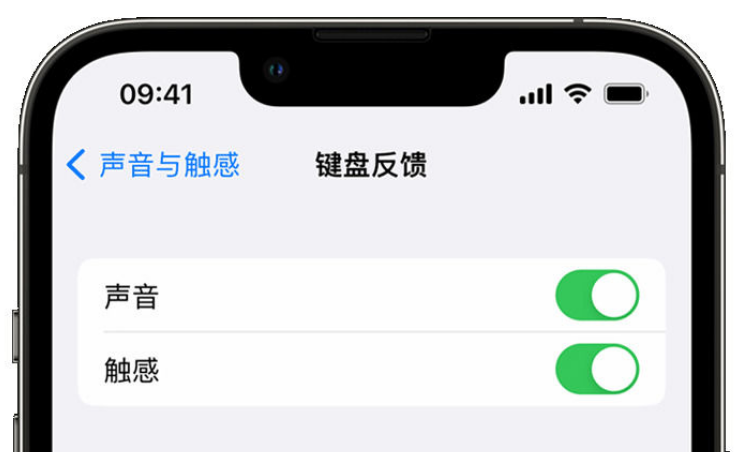 喀什苹果手机维修分享iPhone 14触感键盘使用方法 