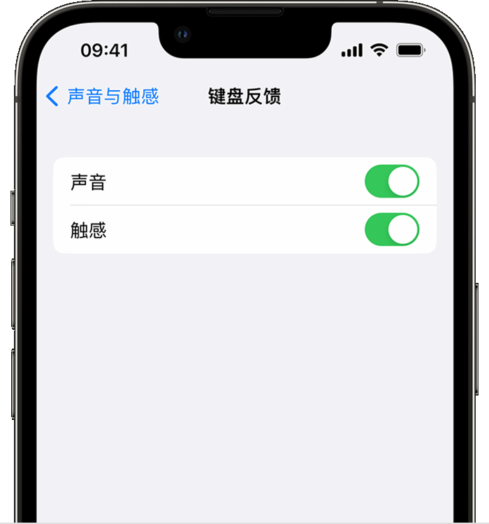 喀什苹果14维修店分享如何在 iPhone 14 机型中使用触感键盘 