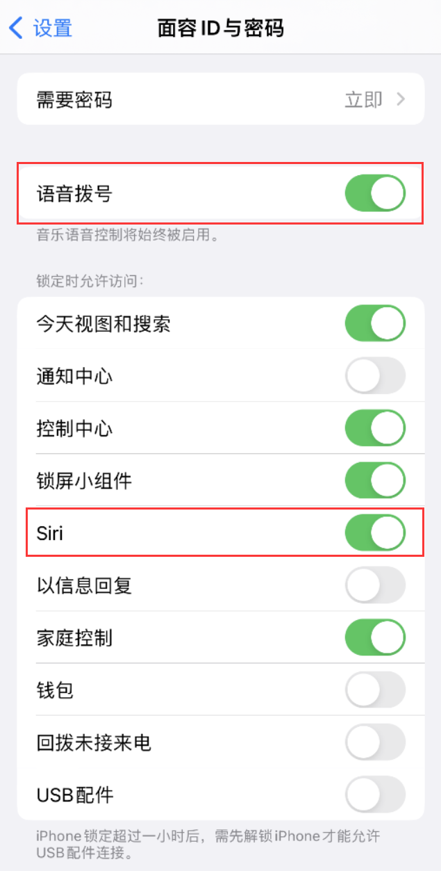 喀什苹果维修网点分享不解锁 iPhone 的情况下通过 Siri 拨打电话的方法 