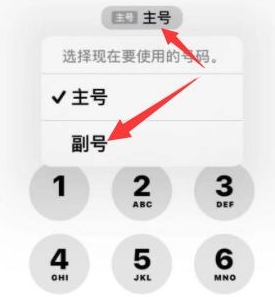 喀什苹果14维修店分享iPhone 14 Pro Max使用副卡打电话的方法 