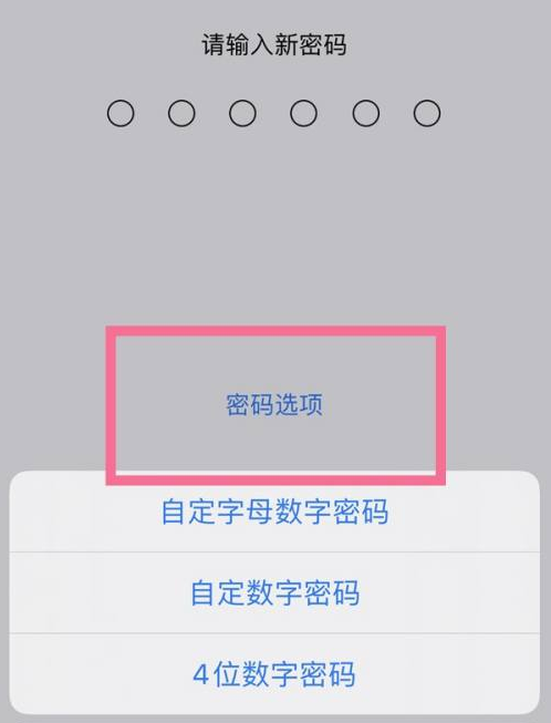 喀什苹果14维修分享iPhone 14plus设置密码的方法 