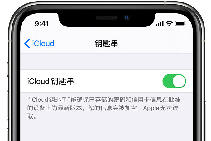 喀什苹果手机维修分享在 iPhone 上开启 iCloud 钥匙串之后会储存哪些信息 