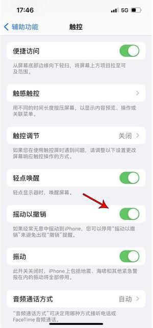 喀什苹果手机维修分享iPhone手机如何设置摇一摇删除文字 